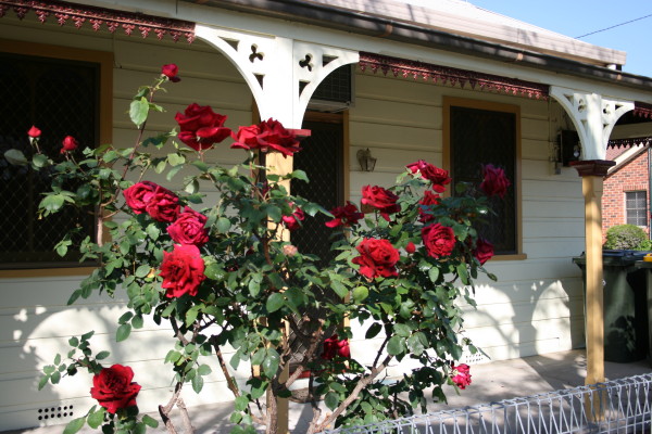 Rose-Cottage
