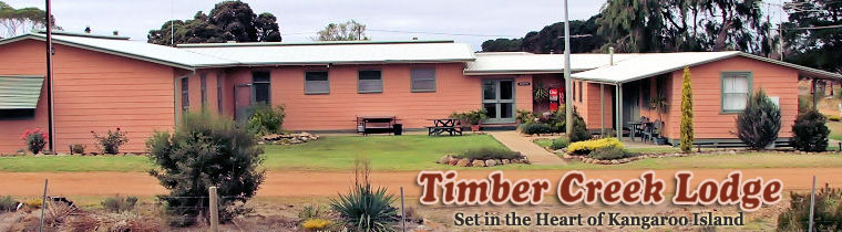 Timber-Creek-Lodge